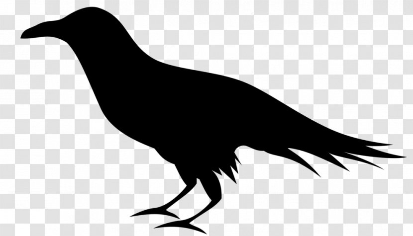 Bird Silhouette - Common Raven - Crowlike Beak Transparent PNG