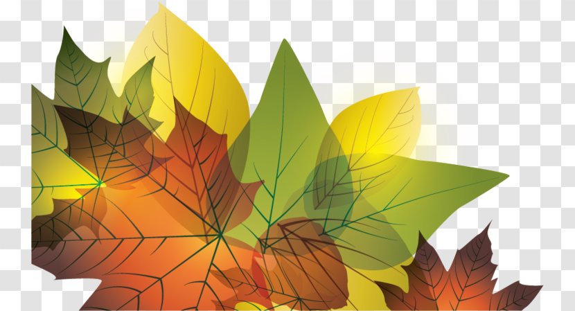 Autumn Leaf Design Vector Graphics Illustration - Tree - Leaves Transparent PNG