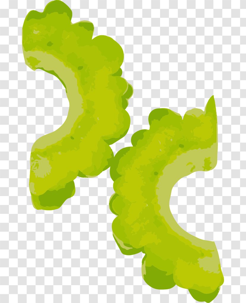 Bitter Melon Tea Vegetable - Hand Painted Slice Transparent PNG