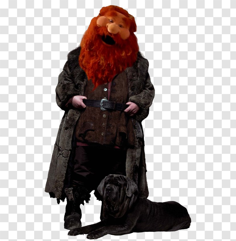 Hermione Granger Rubeus Hagrid Ron Weasley James Potter Lucius Malfoy - Harry Transparent PNG