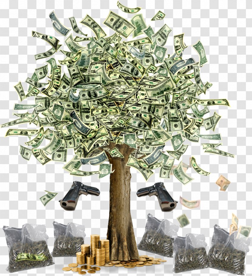 Money Finance Tree Bank Currency - Saving Transparent PNG