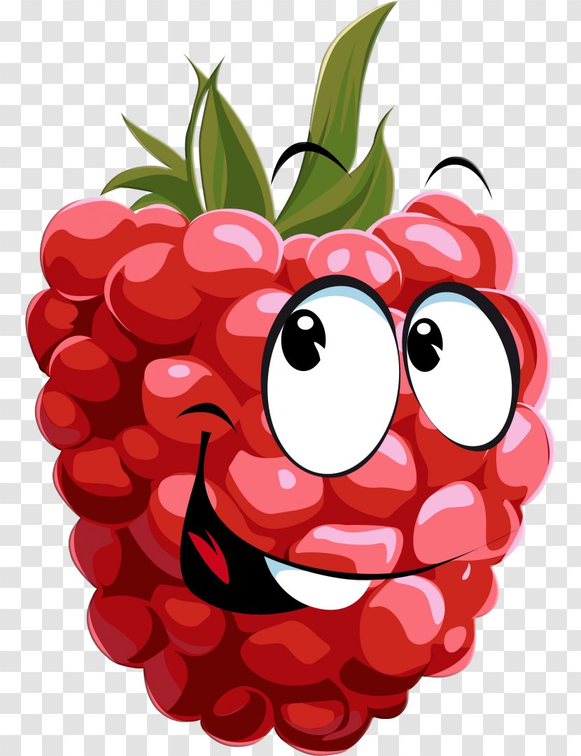 Raspberry Drawing Clip Art - Royaltyfree - Raspberries Transparent PNG