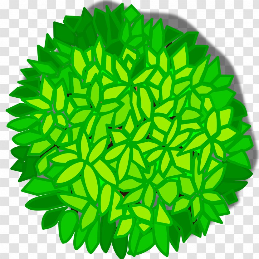 Tree Clip Art - Grass - Top View Transparent PNG