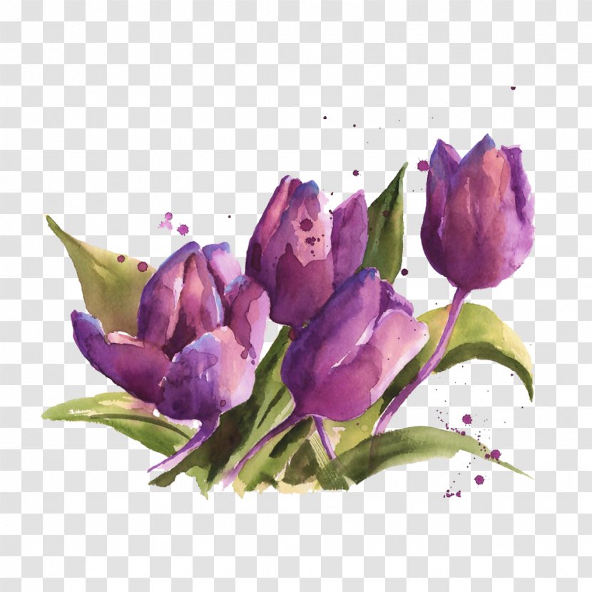 Floral Design Watercolor Painting Flower - Petal - Tulip Picture Material Purple Eye Transparent PNG