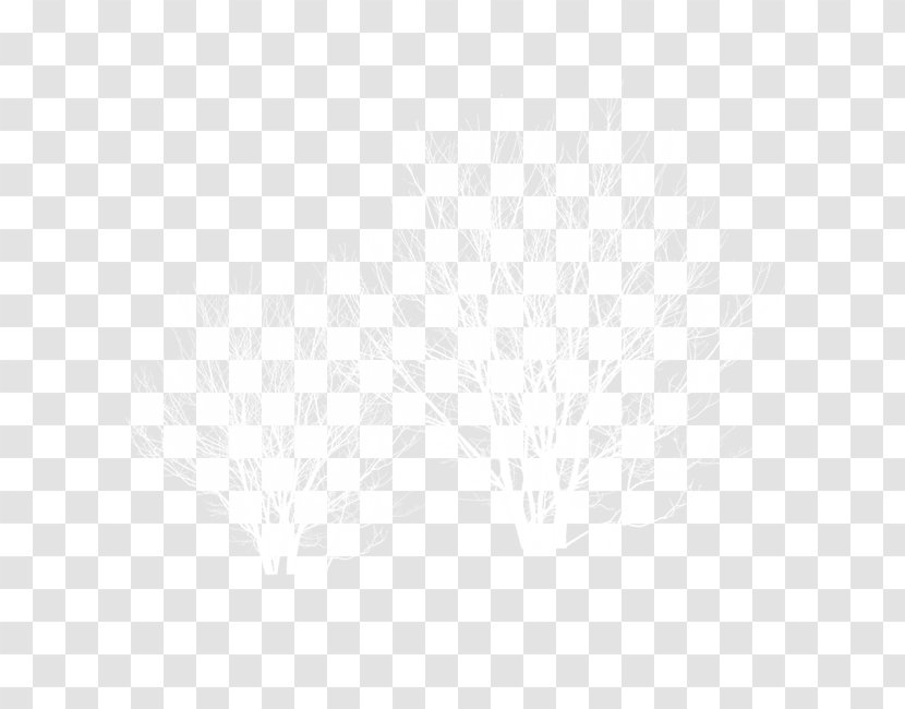 White Black Angle Pattern - Point - Winter Tree Transparent PNG