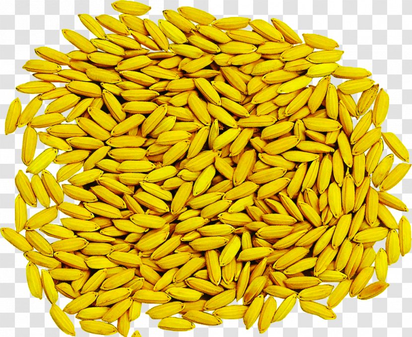 Cereal Germ Mixture - Staple Food - Rice Pictures Transparent PNG