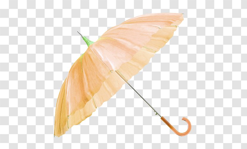 Icon - Free - Yellow Fresh Petal Umbrella Decorative Pattern Transparent PNG