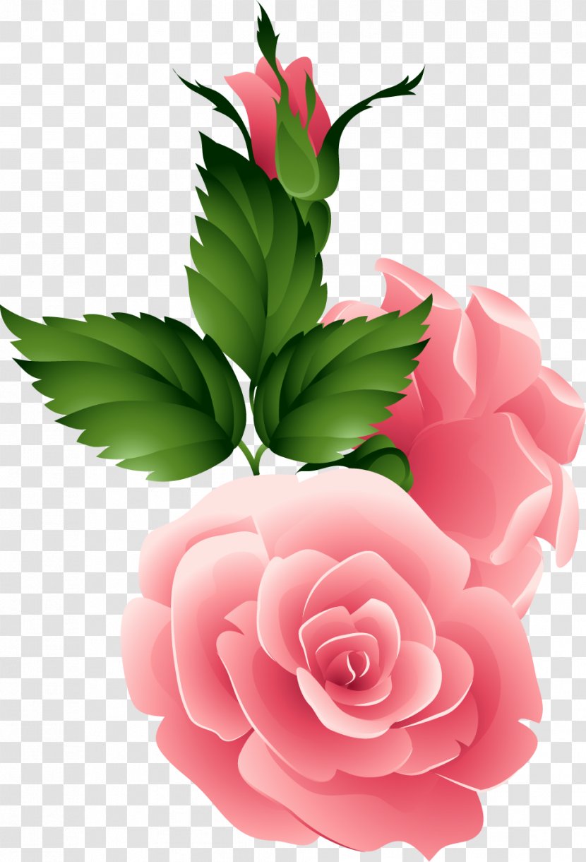 Flower Garden Roses Night Morning - Wish Transparent PNG