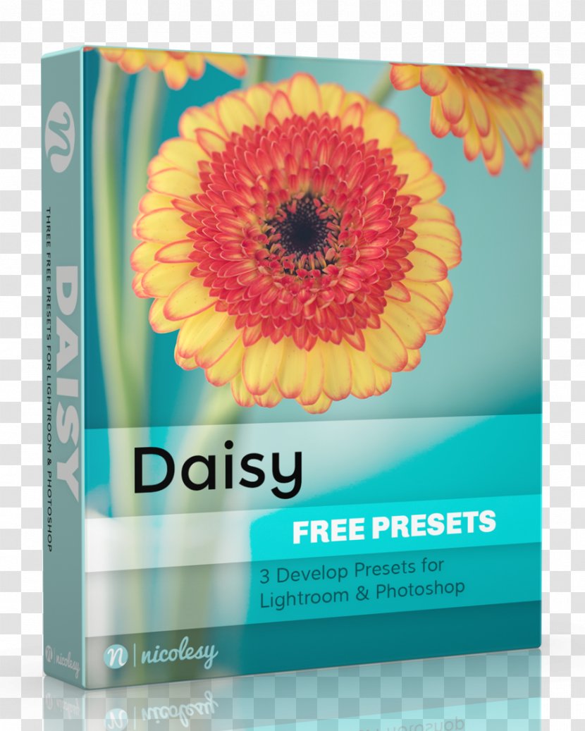 Adobe Lightroom Creative Cloud Systems Transvaal Daisy - Vineyard Watercolor Transparent PNG