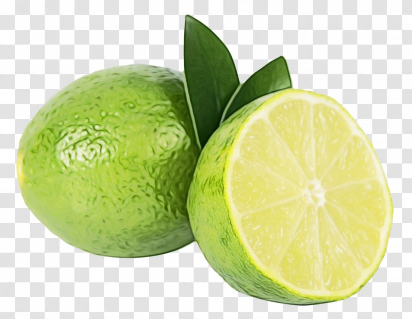 Persian Lime Key Citrus Sweet Lemon - Food Plant Transparent PNG