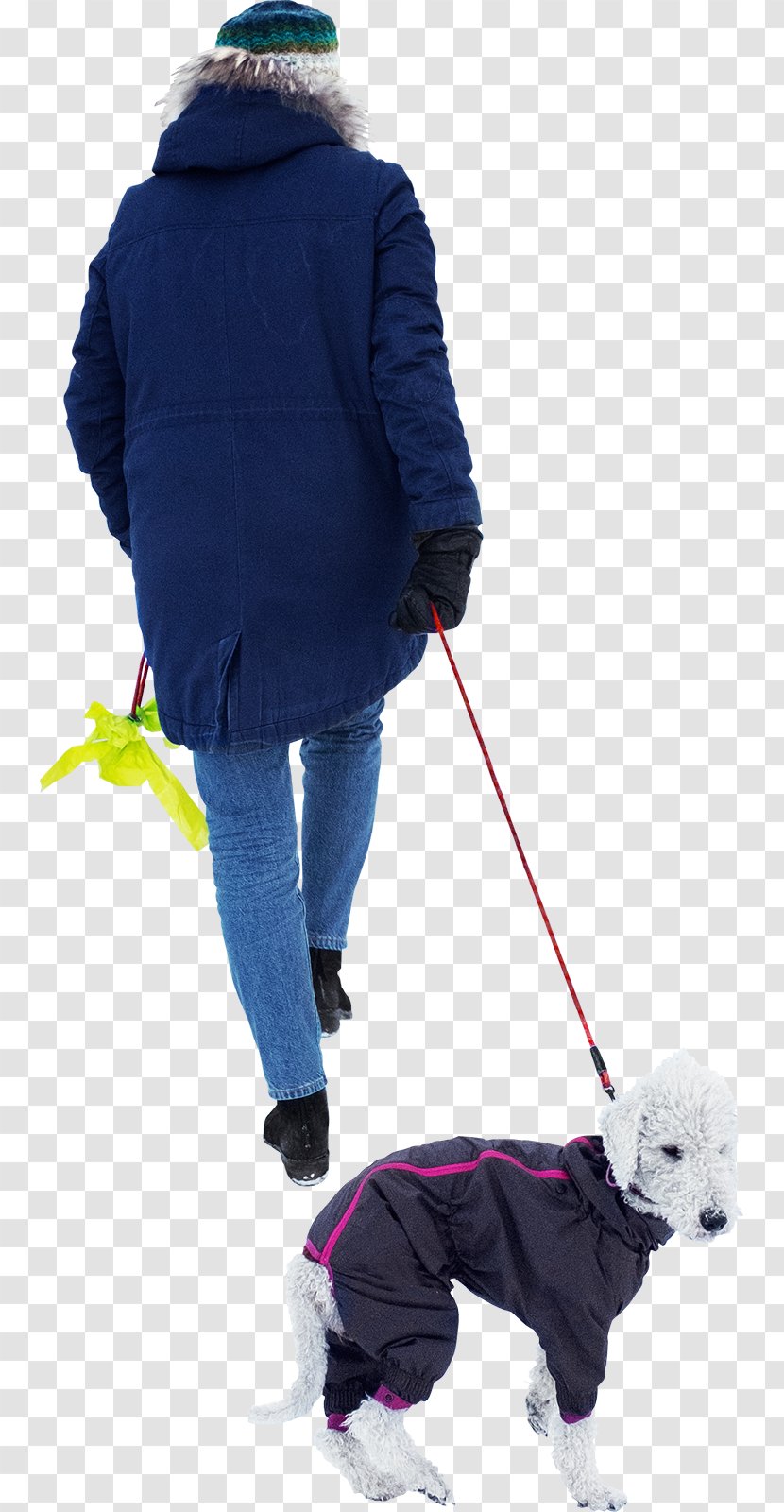 Dog Walking Leash - Pet - Walk Transparent PNG