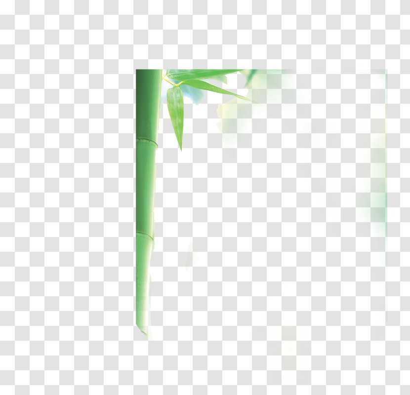 Angle Pattern - Green - Bamboo Transparent PNG