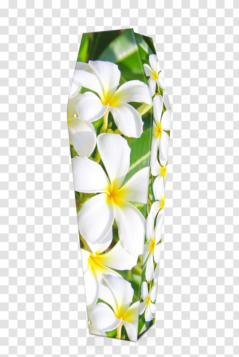 Cut Flowers Frangipani Coffin Floral Design - Expression Coffins Transparent PNG