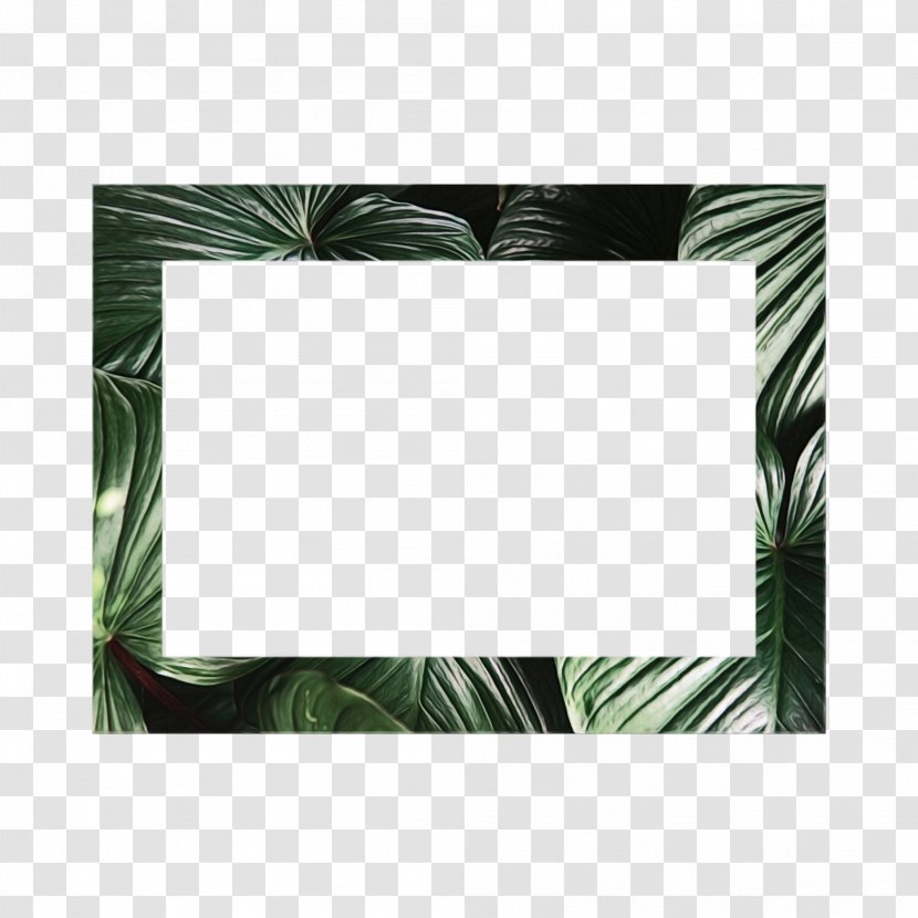 Background Watercolor Frame - Green - Fern Vascular Plant Transparent PNG