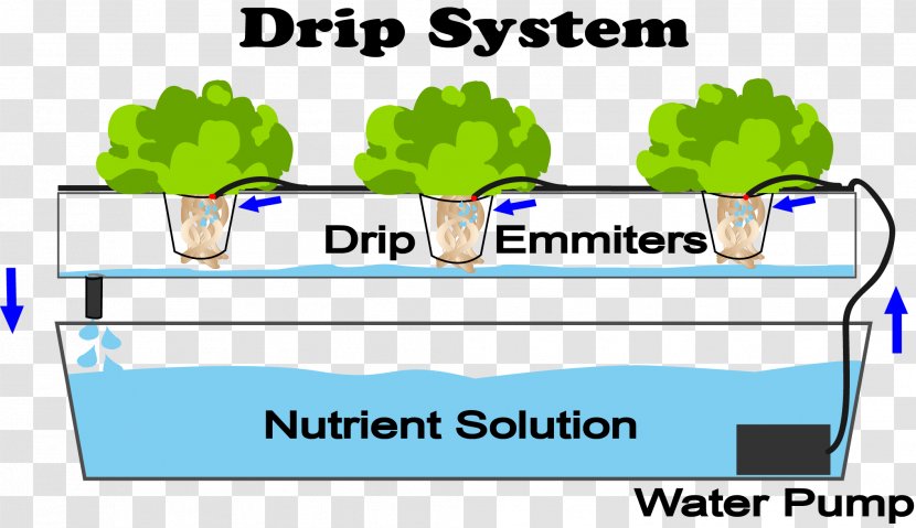 Hydroponics Drip Irrigation Aquaponics Nutrient Agriculture - Green - Text Transparent PNG