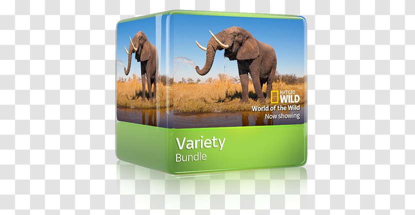 Sticker Atlas Of The World Activity Book Elephantidae Brand - Elephant - Variety Entertainment Transparent PNG