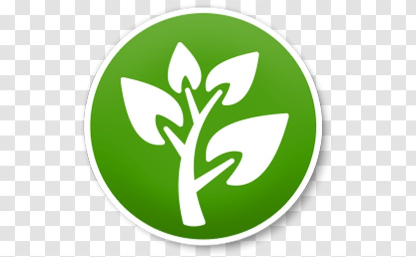 Organization - Plant - Flower Transparent PNG