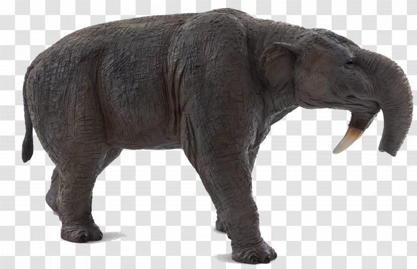 Deinotherium Prehistory Amazon.com Dinosaur Megacerops - Adrienne Mayor - Watercolor Elephant Transparent PNG