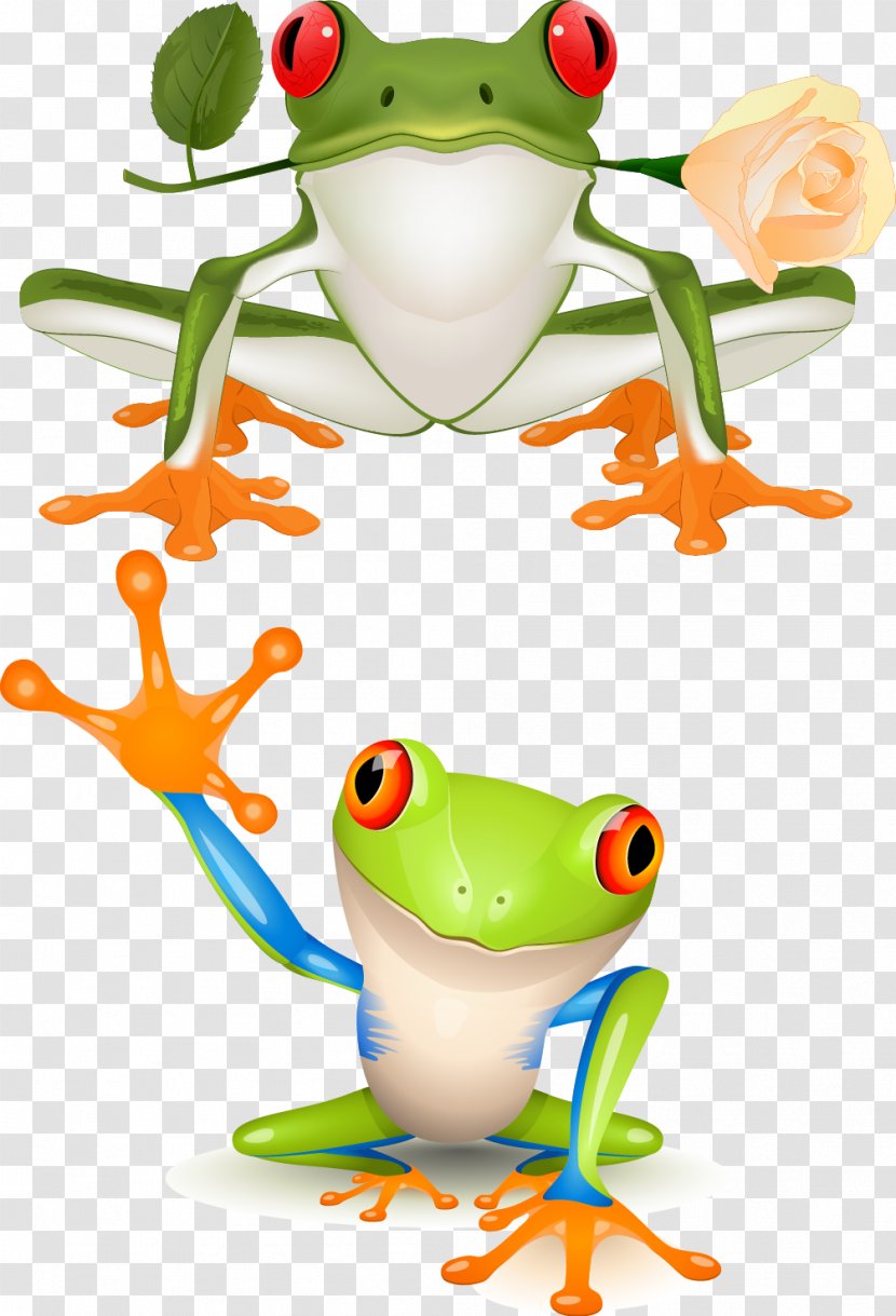 Red-eyed Tree Frog Clip Art - Royaltyfree - Cartoon Transparent PNG