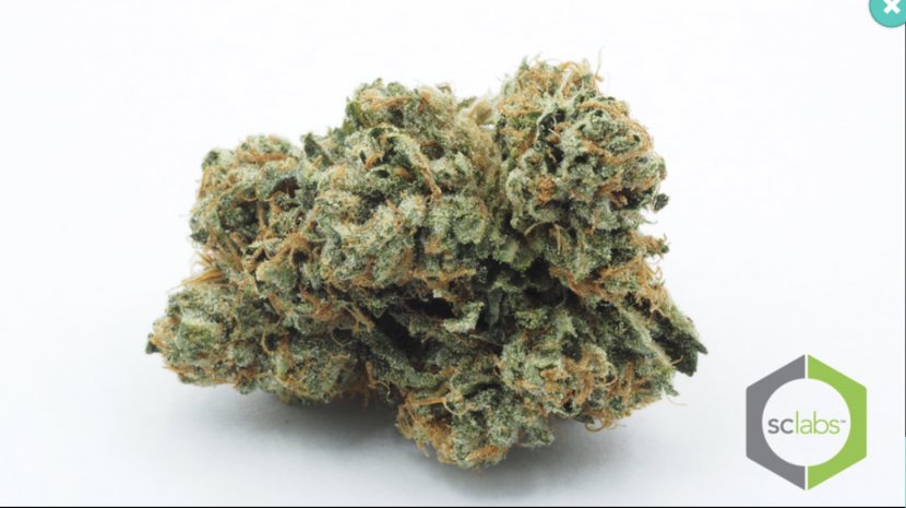 Kush Legality Of Cannabis Fontana SC Labs - Mint Transparent PNG