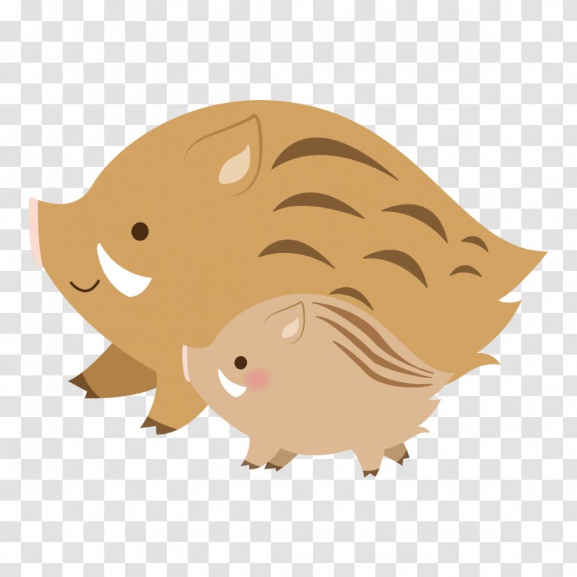 Wild Boar Whiskers Illustration Image Bear - Tail - Cat Transparent PNG