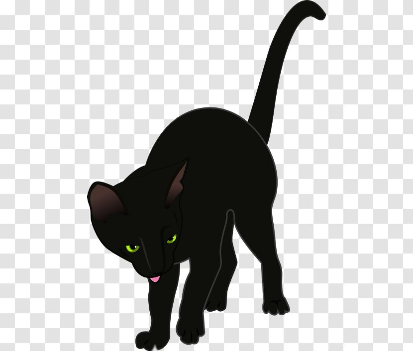 Cat Kitten T-shirt Clip Art Transparent PNG