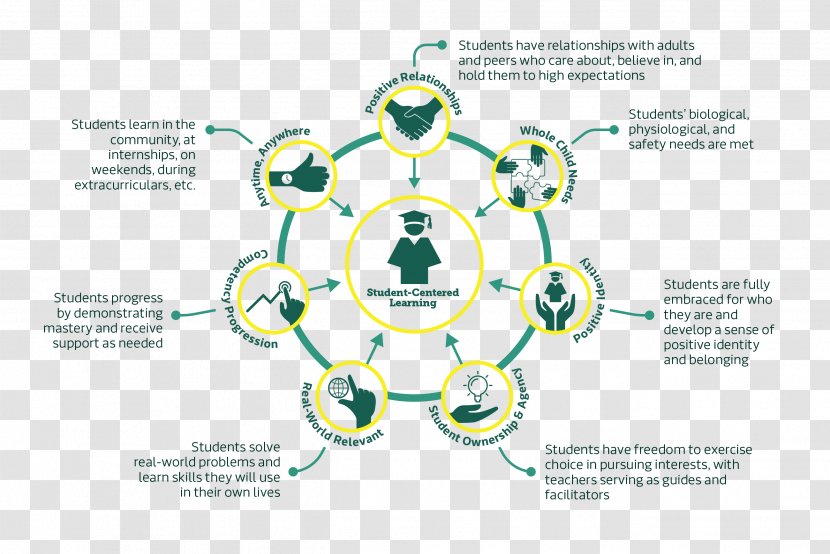 Student-centred Learning Teacher Education - Organization - Info Graphics Transparent PNG
