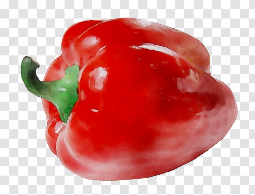 Habanero Piquillo Pepper Cayenne Tabasco Bell - Chili - Peperoncini Transparent PNG