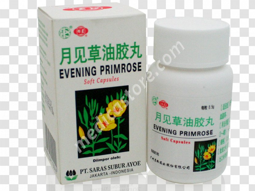 Common Evening-primrose Product Herb Plants Evening-primroses - Plant - Udang Transparent PNG