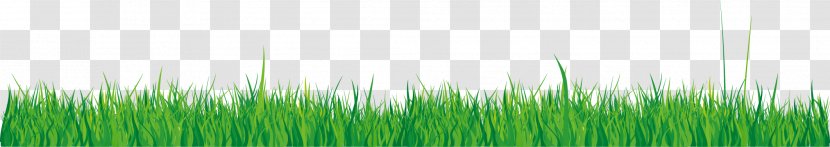 Wheatgrass Green Wallpaper - Grass Vector Elements Transparent PNG