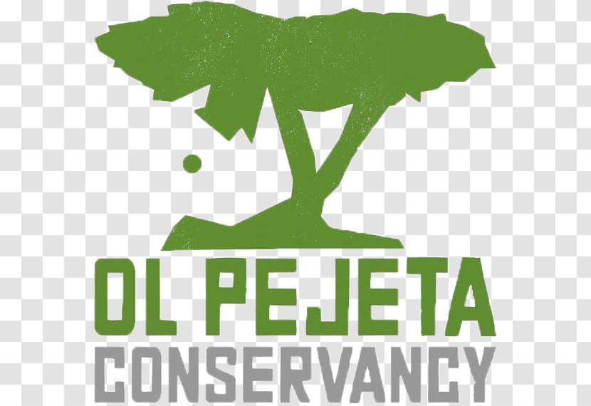 Ol Pejeta Conservancy Logo Non-profit Organisation Wildlife Management In Kenya International Anti-Poaching Foundation - Antipoaching Transparent PNG