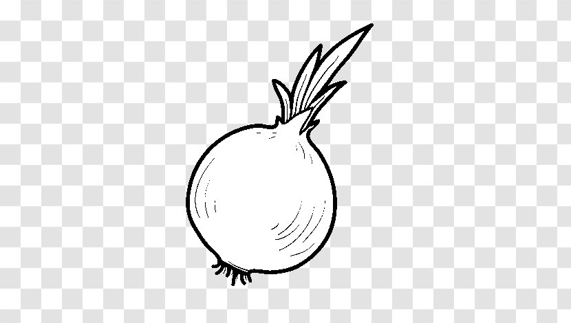 Drawing Onion Coloring Book Food Vegetable - Scallion Transparent PNG