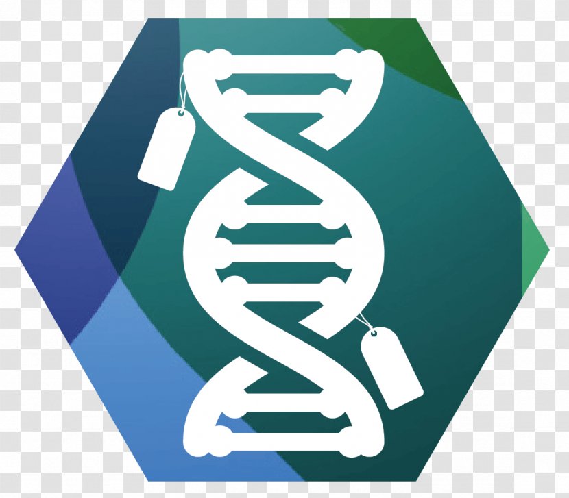 Epigenetics DNA Methylation Mutation - Blue Transparent PNG