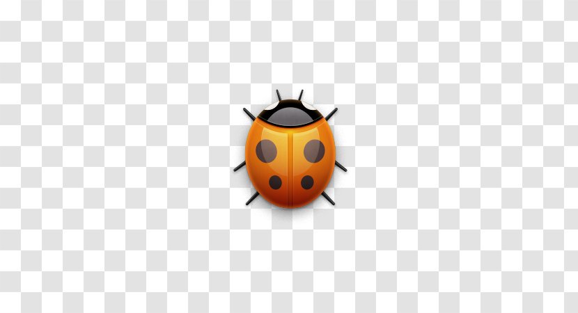 Macintosh Coccinella Septempunctata MacUpdate - Beetle - Ladybug Transparent PNG