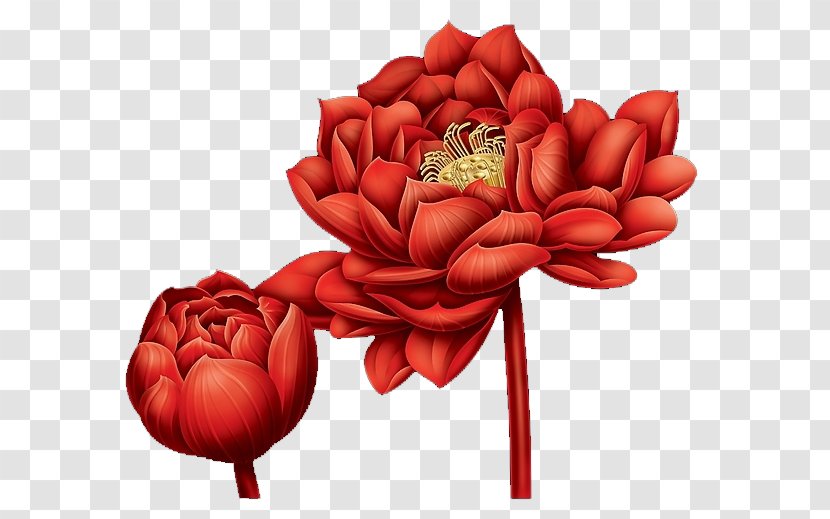 Garden Roses Red Illustration - Flower - Blood Lotus Transparent PNG