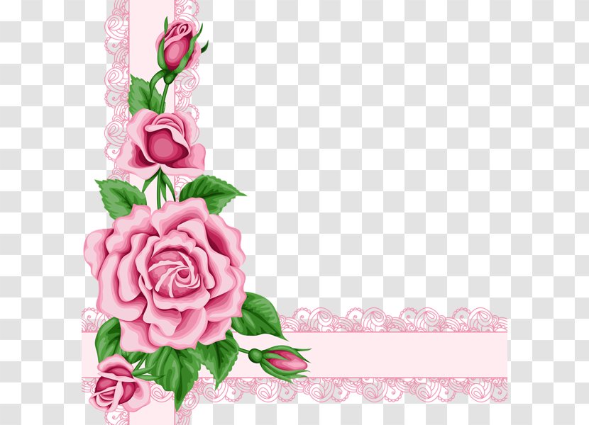 Rose Flower Pink Clip Art - Drawing Transparent PNG