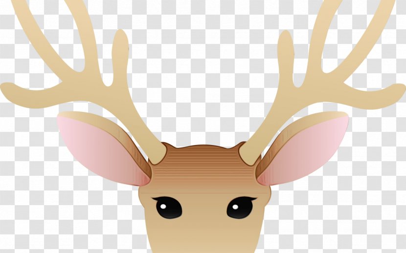 Pink Background - Reindeer - Wildlife Tail Transparent PNG