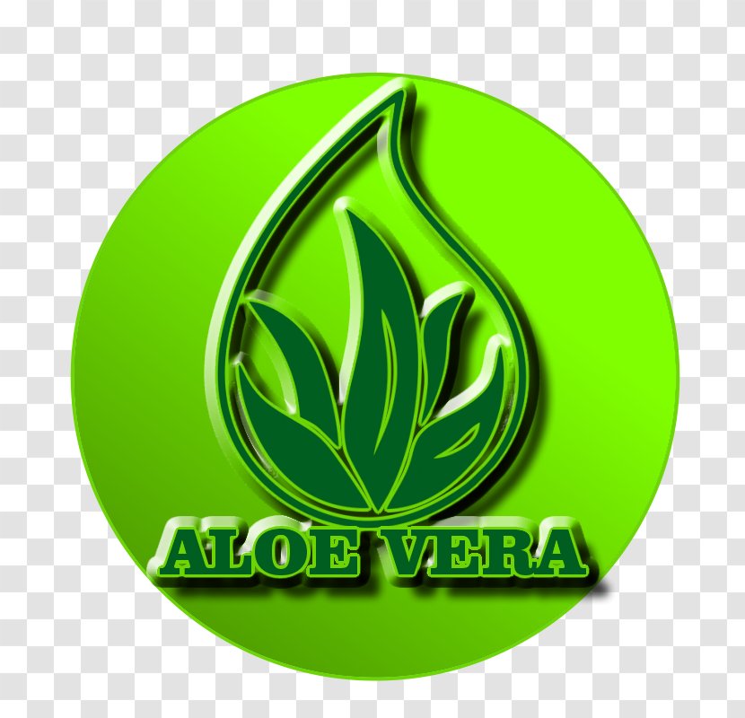 Logo Leaf Brand Circle Font - Grass - Aloe Vera Transparent PNG