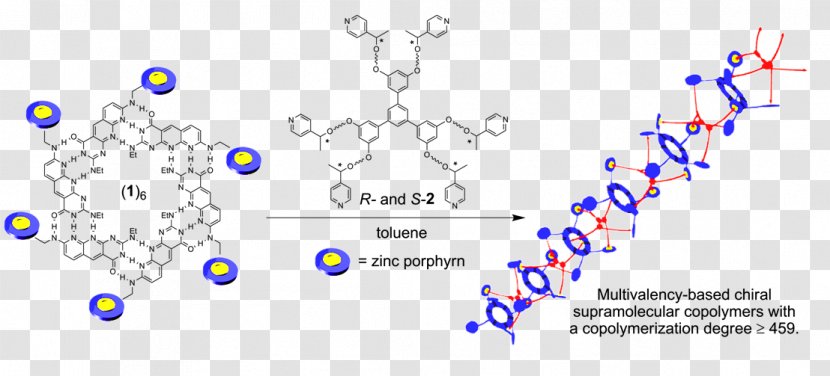 Supramolecular Polymers Chirality Chemistry Molecule - Polymerization - Biomolecules Transparent PNG