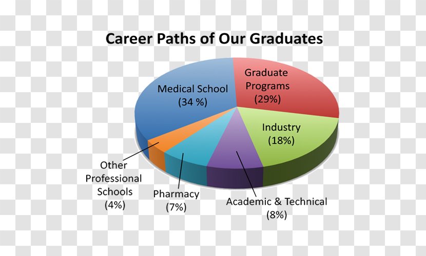 Pie Chart Pharmacology Pharmacy Toxicology Science - Cellular Transparent PNG