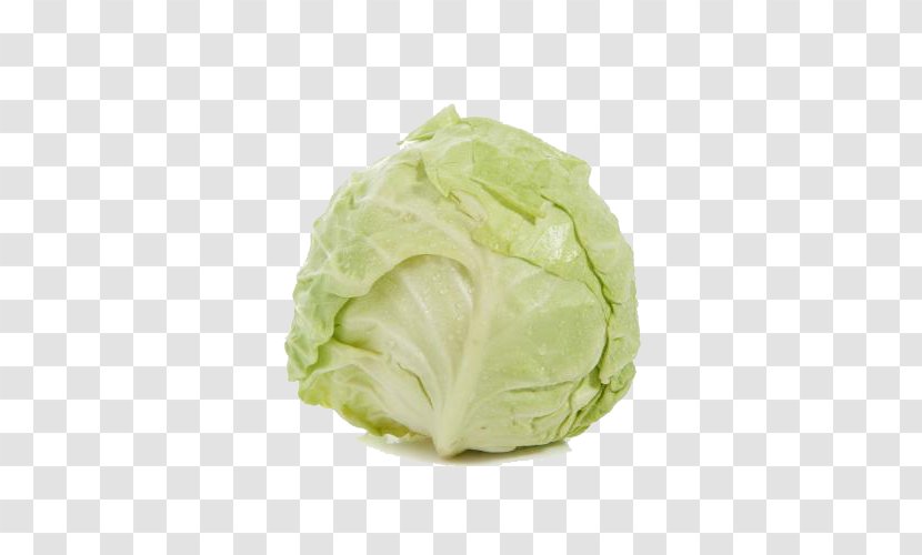Savoy Cabbage - Free Buckle Image Transparent PNG