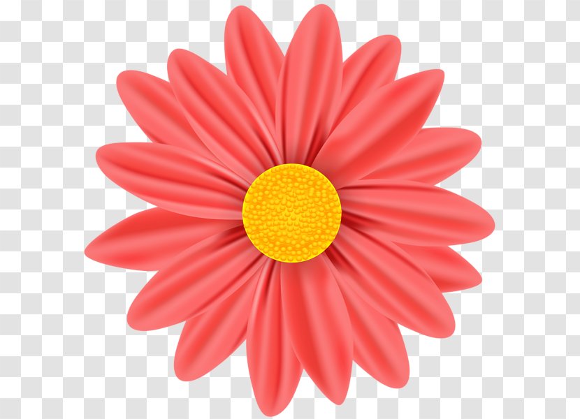 Vector Graphics Illustration Stock Photography Royalty-free Stock.xchng - Cut Flowers - Daisy Images Transparent PNG
