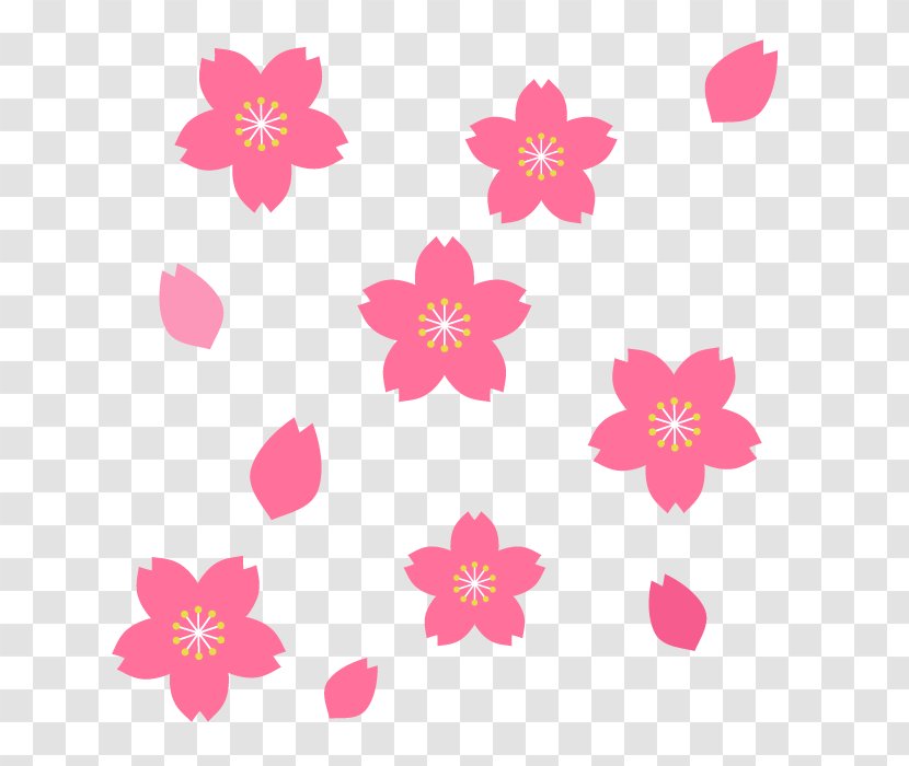 赤まる塾 ・そろばん教室・算数パズル教室・プログラミング教室 Floral Design Mon To Kura No Aru Hiroba Soroban - Flowering Plant - Footpath Among Flowers Transparent PNG