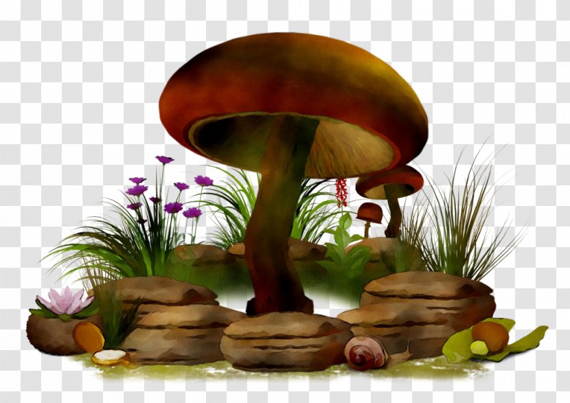 Clip Art Mushroom Image Fungus - Russula Integra - Grass Transparent PNG