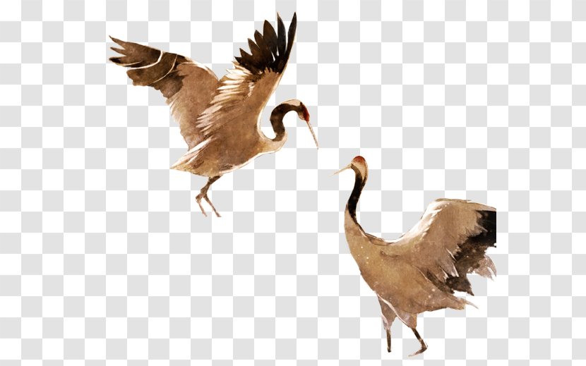 Chinese Painting Ink - Tail - Crane Transparent PNG
