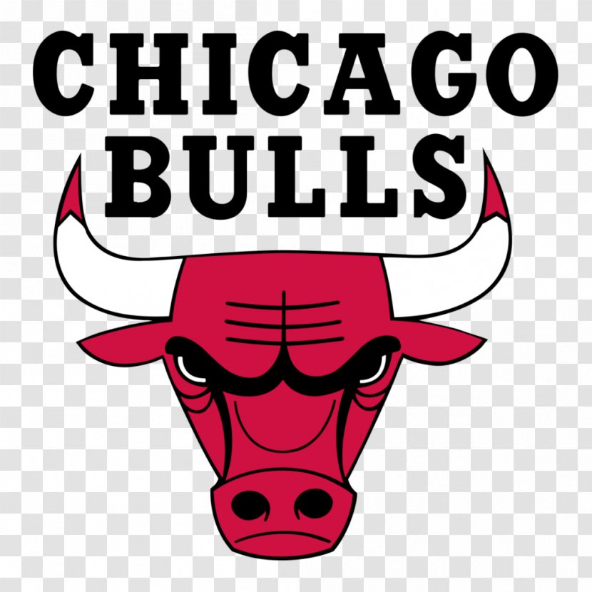 Chicago Bulls Windy City NBA Development League Logo - Sport - Nutella Transparent PNG