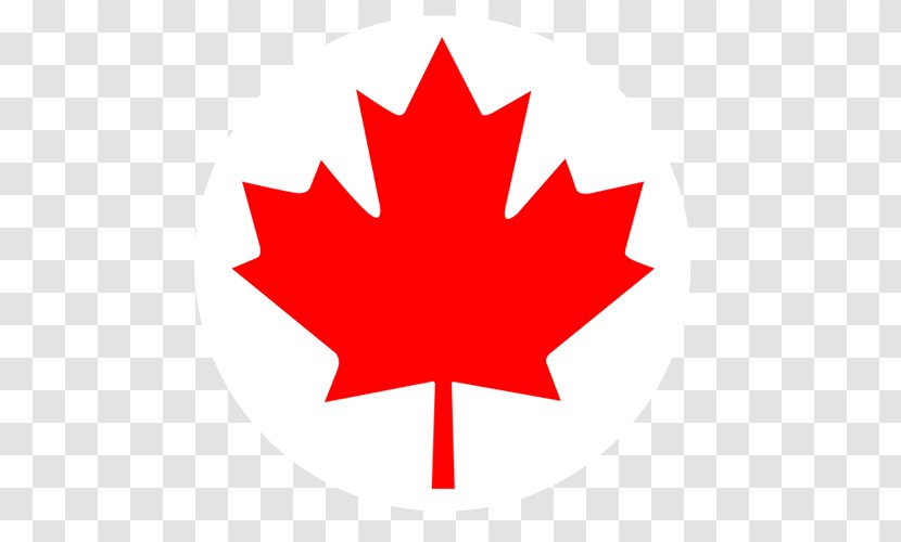 Flag Of Canada Maple Leaf Day - Red Leaves Transparent PNG