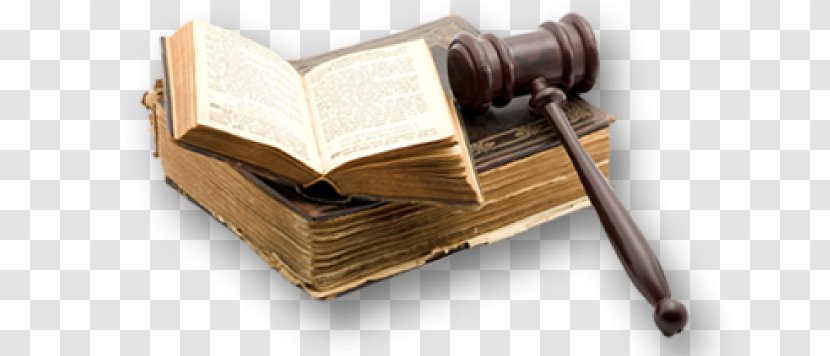 Law Firm Lawyer Legislation Bankruptcy - Wood Transparent PNG