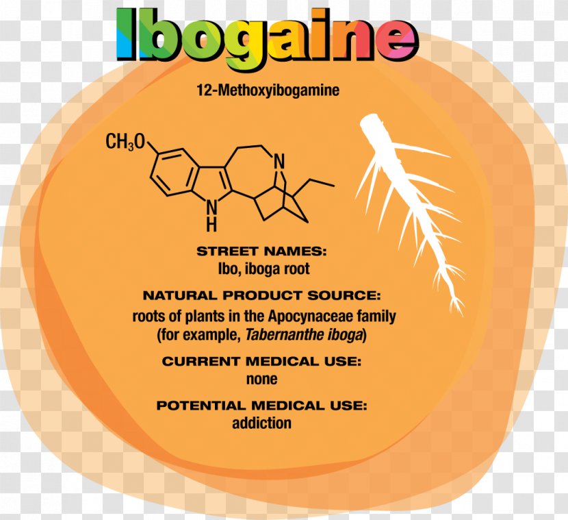 Ibogaine Psychedelic Drug Hallucinogen Addiction Medicine - Withdrawal - Hallucinogenic Toreador Transparent PNG