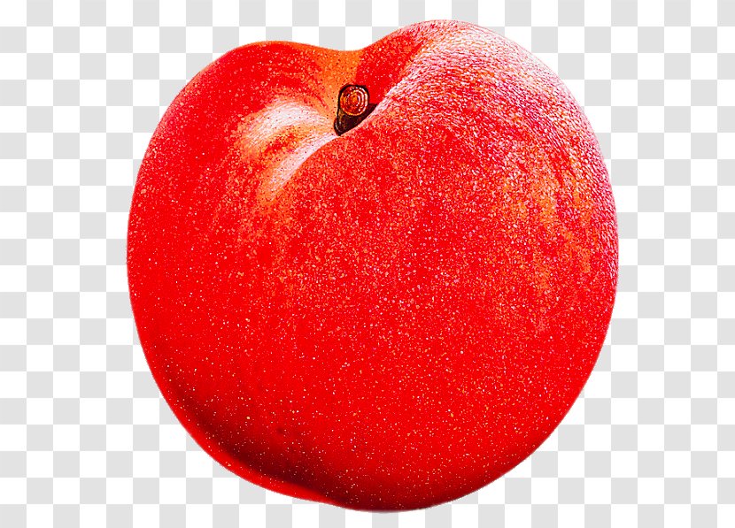 Peach Ali Fruit Clip Art - Food - Apple IPhone Transparent PNG
